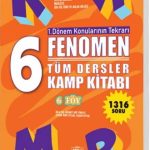FENOMEN YAYINCILIK 6 KAMP KİTABI 1.DÖNEM TÜM DERSLER (6 FÖY)