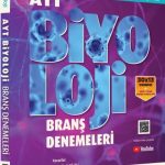 RİTİM BİYOLOJİ YAYINLARI YKS AYT DENEME 30*13 BİYOLOJİ - 2025