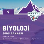OKYANUS YAYINCILIK 9. Sınıf Iceberg Biyoloji Soru Bankası