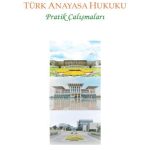 EKİN YAYINEVİ Türk Anayasa Hukuku Pratik Çalışmaları / Kemal Gözler