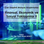 EKİN YAYINEVİ Çok Disiplinli Manyas Araştırmaları Finansal Ekonomik ve Sosyal Yaklaşımlar 2 / Müjde Aksoy