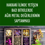 EKİN YAYINEVİ Hakkari İlinde Yetişen Bazı Bitkilerde Ağır Metal Değerlerinin Saptanması / Şadiye Biçer Artuş