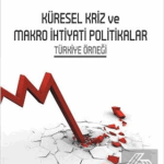 EKİN YAYINEVİ - Küresel Kriz ve Makro İhtiyati Politikalar Türkiye Örneği / Mehmet Ali Polat