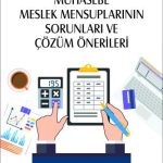 EKİN YAYINEVİ Muhasebe Meslek Mensuplarının Sorunları ve Çözüm Önerileri / Sedat Çağlar