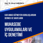 EKİN YAYINEVİ Muhasebe Uygulamaları ve İç Denetimi / Birsel Sabuncu