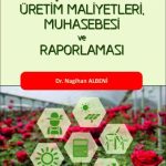 EKİN YAYINEVİ - Sera İşletmelerinde Üretim Maliyetleri Muhasebesi ve Raporlaması / Nagihan Albeni