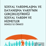 EKİN YAYINEVİ Sosyal Yardımlaşma ve Dayanışma Vakfı'nın Gerçekleştirdiği Sosyal Yardım ve Hizmetler Denizli İli Örneği / Aydın Güngör