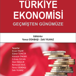 EKİN YAYINEVİ Türkiye Ekonomisi / Yavuz Odabaşı
