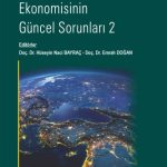 EKİN YAYINEVİ Türkiye Ekonomisinin Güncel Sorunları-2 / Hüseyin Naci Bayraç