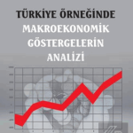 EKİN YAYINEVİ Türkiye Örneğinde Makroekonomik Göstergelerin Analizi / Bünyamin Demirgil