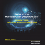 EKİN YAYINEVİ Türkiye Vizyonu Multidisipliner Çalışmalar 2019 (Türkçe-İngilizce) / Bülent Kırmızı