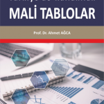 EKİN YAYINEVİ Türkiyede Kullanılan Mali Tablolar / Ahmet Ağca