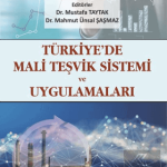 EKİN YAYINEVİ Türkiyede Mali Teşvik Sistemi ve Uygulamaları / Mustafa Taytak